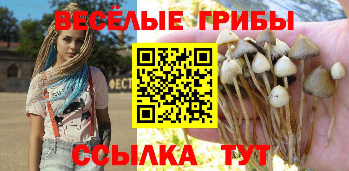 Галлюциногенные грибы Cubensis Карпинск