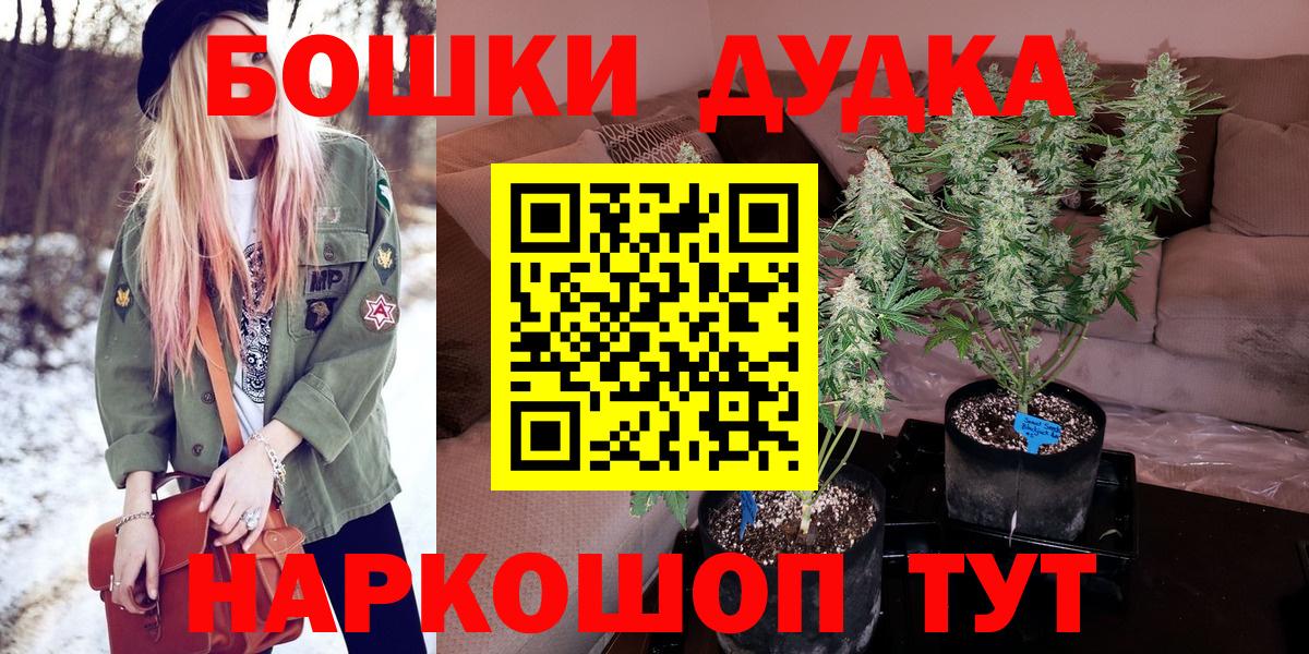 Конопля план  Вход с VPN  Шишки марихуана планчик  Карпинск  Каннабис индика  Каннабис планчик 